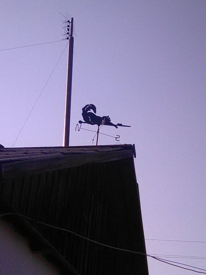 Причудливый флюгер своими руками – легко, стильно и креативно. Флюгер на крышу дома своими руками: обзор нескольких вариантов самоделок