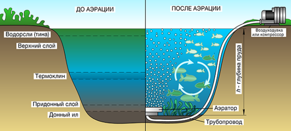 Аэрация в различных типах водоемов